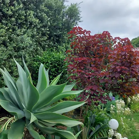 Holiday home Sitio Da Assumada