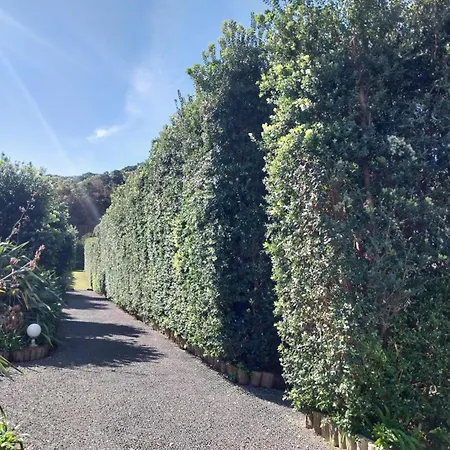 Дом отдыха Sitio Da Assumada - Eco Turismo