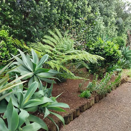 Sitio Da Assumada Ferienhaus *