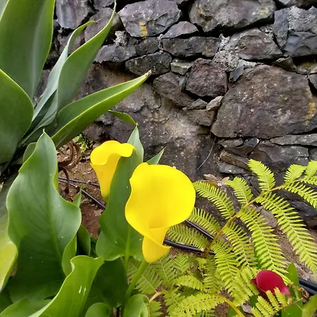 Sitio Da Assumada Ferienhaus Faja Grande