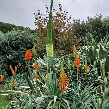 Sitio Da Assumada Faja Grande