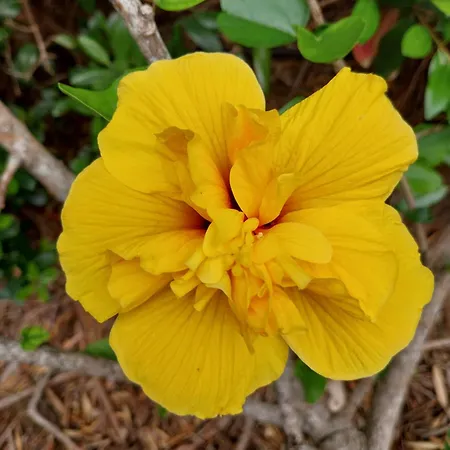 Ferienhaus Sitio Da Assumada