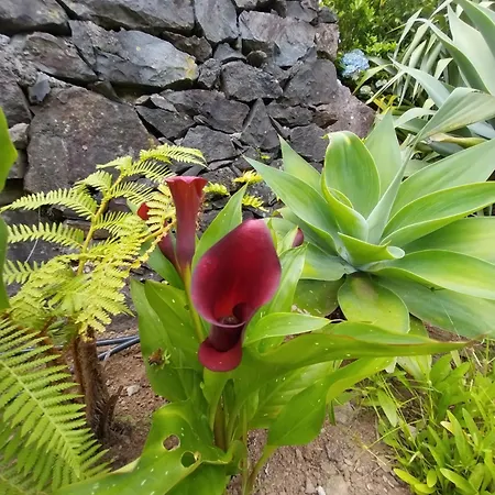 Sitio Da Assumada Ferienhaus *