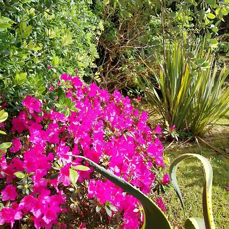 Sitio Da Assumada Σπίτι διακοπών Faja Grande