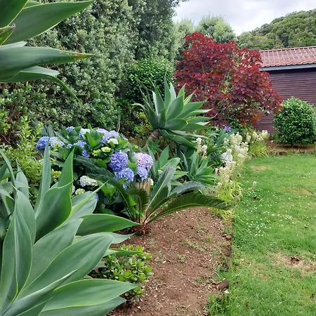 Sitio Da Assumada Faja Grande