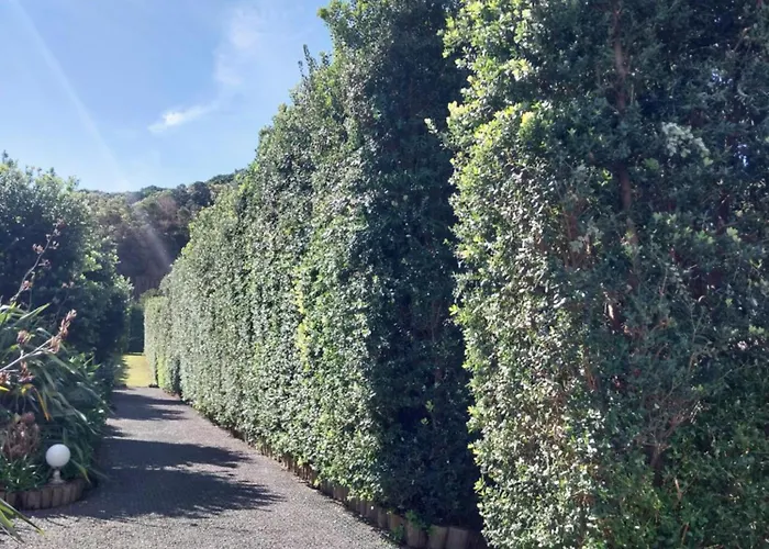 度假居 Sitio Da Assumada