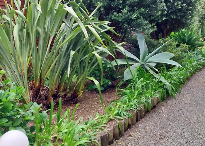 Sitio Da Assumada * Faja Grande