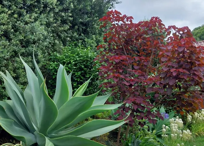 Дом отдыха Sitio Da Assumada - Eco Turismo