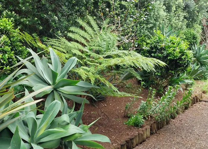 Sitio Da Assumada - Eco Turismo Дом отдыха *