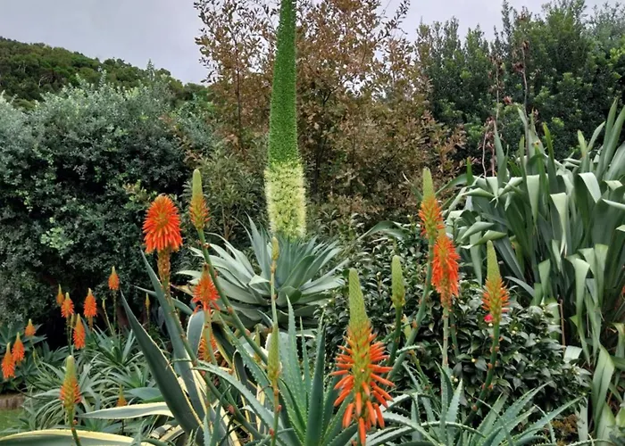 Sitio Da Assumada - Eco Turismo Faja Grande