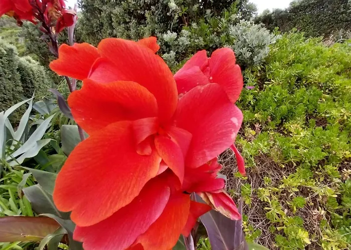 Sitio Da Assumada - Eco Turismo