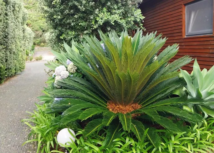 Sitio Da Assumada 度假居