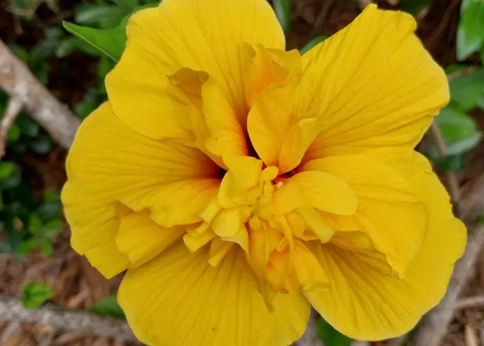 Casa de Férias Sítio Da Assumada