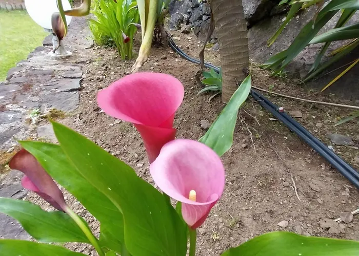 Дом отдыха Sitio Da Assumada - Eco Turismo *