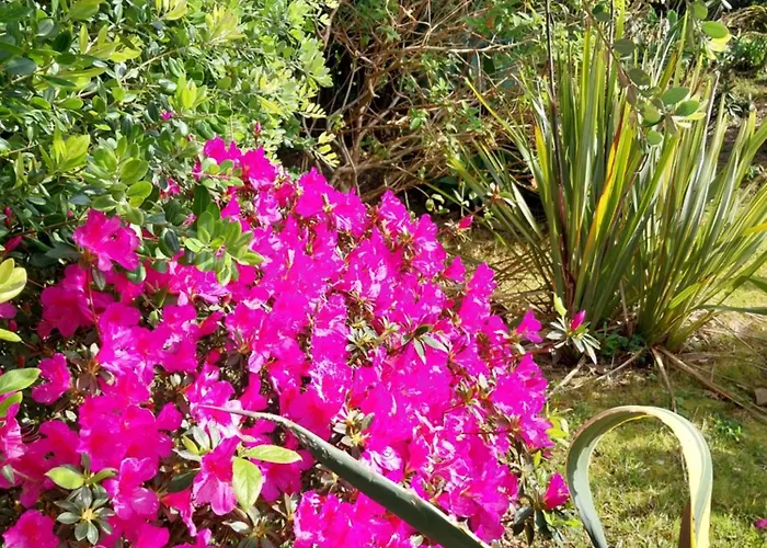 Sitio Da Assumada 度假居 Faja Grande