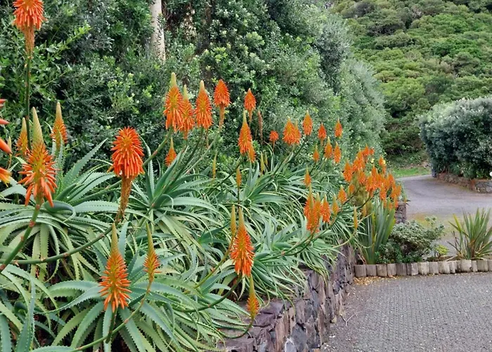 Sitio Da Assumada - Eco Turismo *