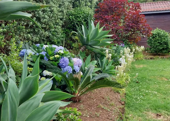 Sitio Da Assumada Faja Grande